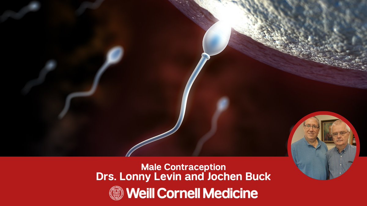 WeillCornell tweet picture