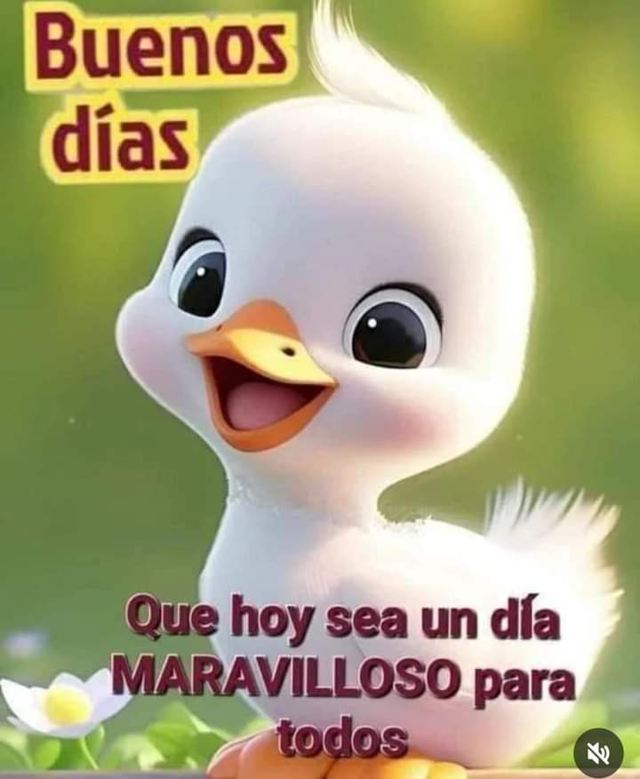 Buen día!!! 😃🌈😉