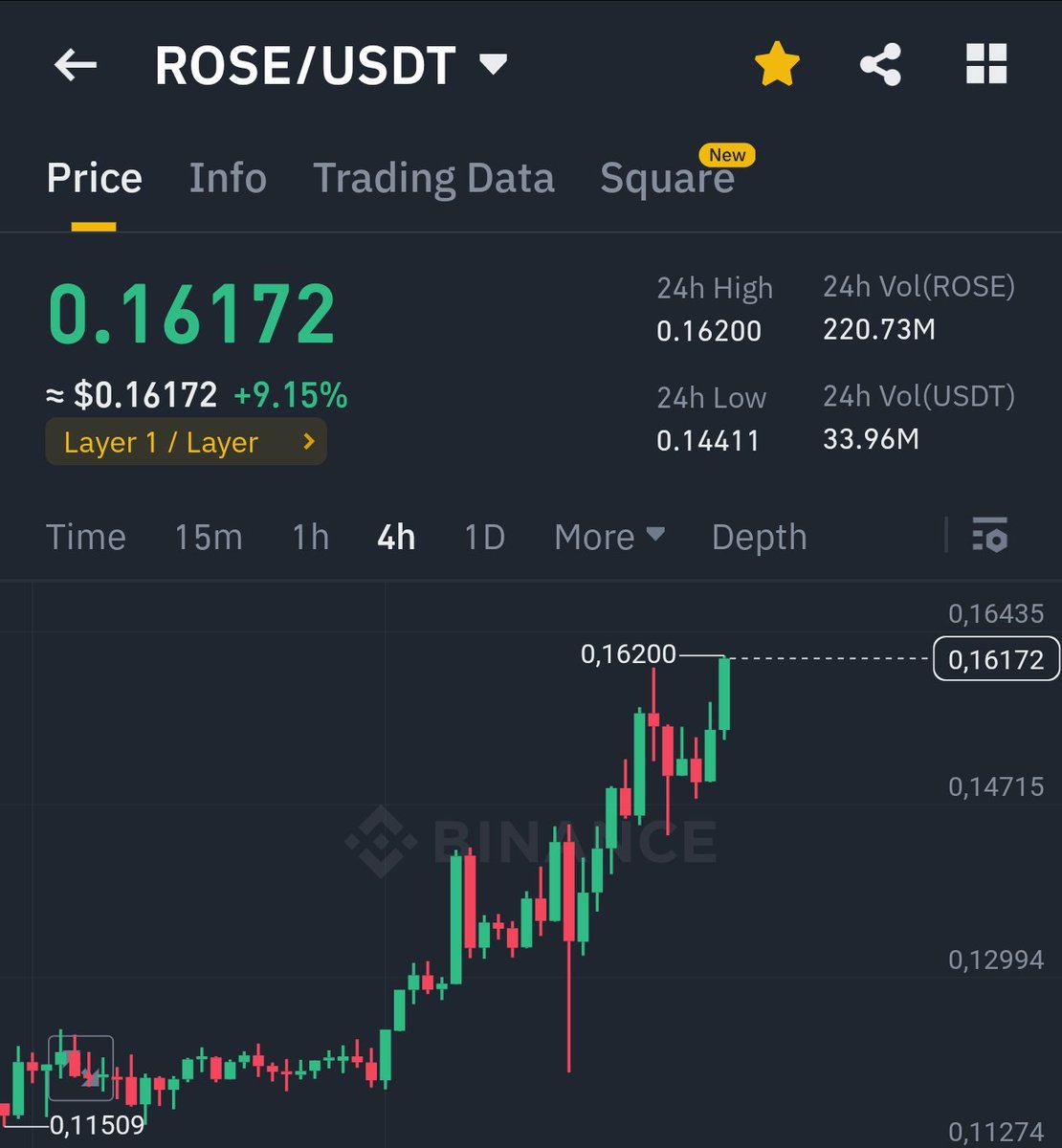 Tokewitch's tweet image. #rose $rose #oasisprotocol
🌹