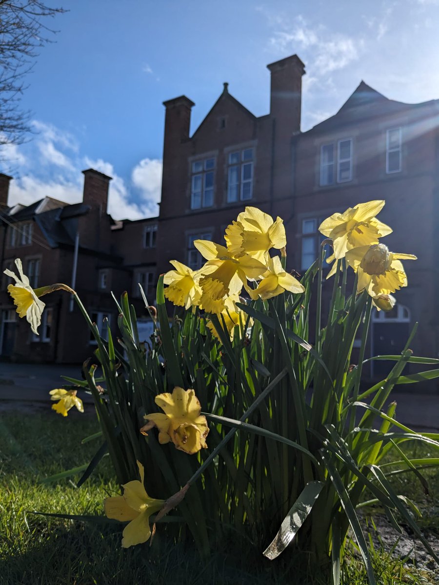 Dydd Gwyl Dewi Sant Hapus! 
Happy Saint David's Day from New House. We celebrate Wales' national day in the sunshine and with the daffodils in bloom.