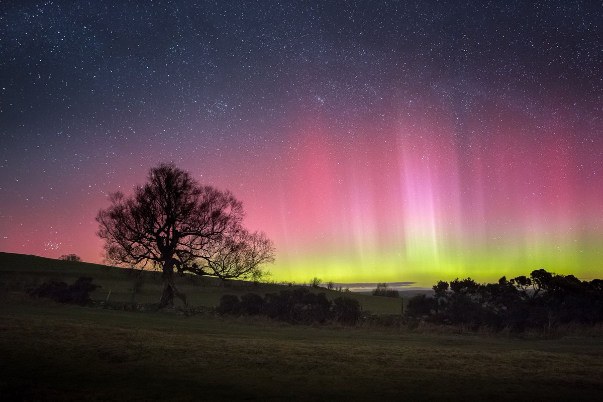 Today is St. David's Day, a national celebration of the patron saint of Wales 🏴󠁧󠁢󠁷󠁬󠁳󠁿 So I thought I'd share some of my favourite photos from my home country. Starting with the Brecon Beacons Dark Sky Reserve, where I first saw the aurora borealis 🧵