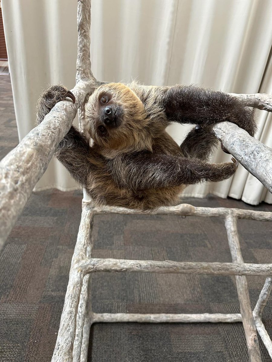 Cincinnati Zoo tweet media