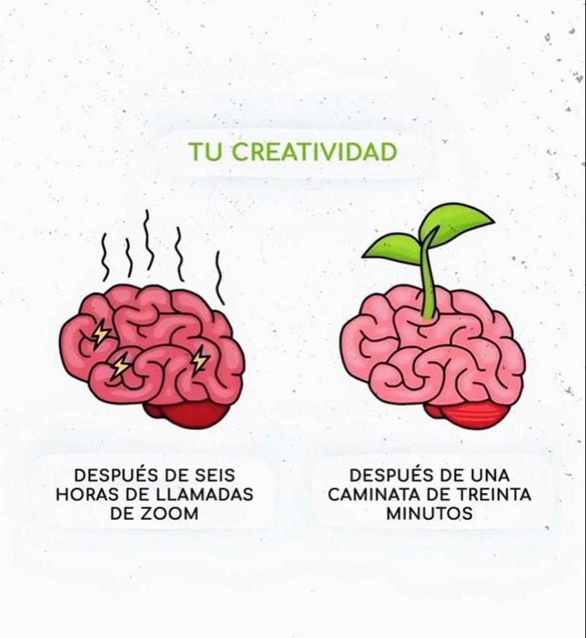 10 Potentes Imágenes sobre Psicología y Vida:

1.