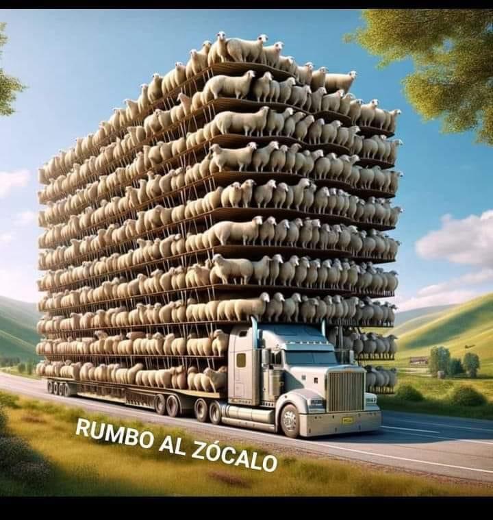 BernalRali's tweet photo. https://t.co/2tel9Nm7ys