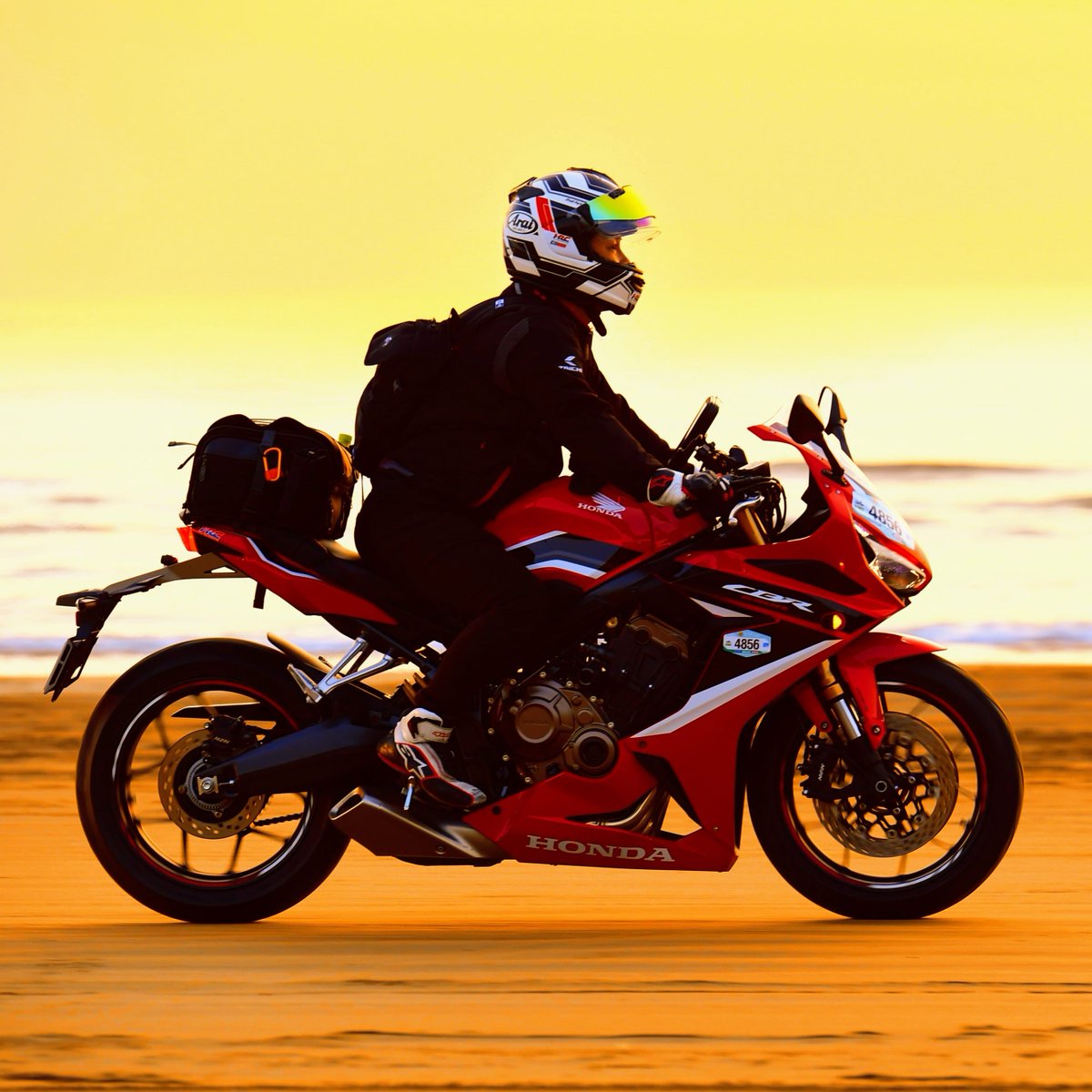 kiyoさま WILDSIDE × 龍が如くスタジオ All-over Print Short Sleeve