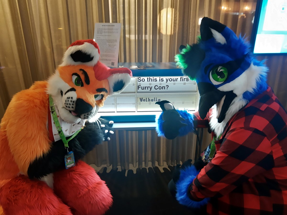 LoimuFox tweet media