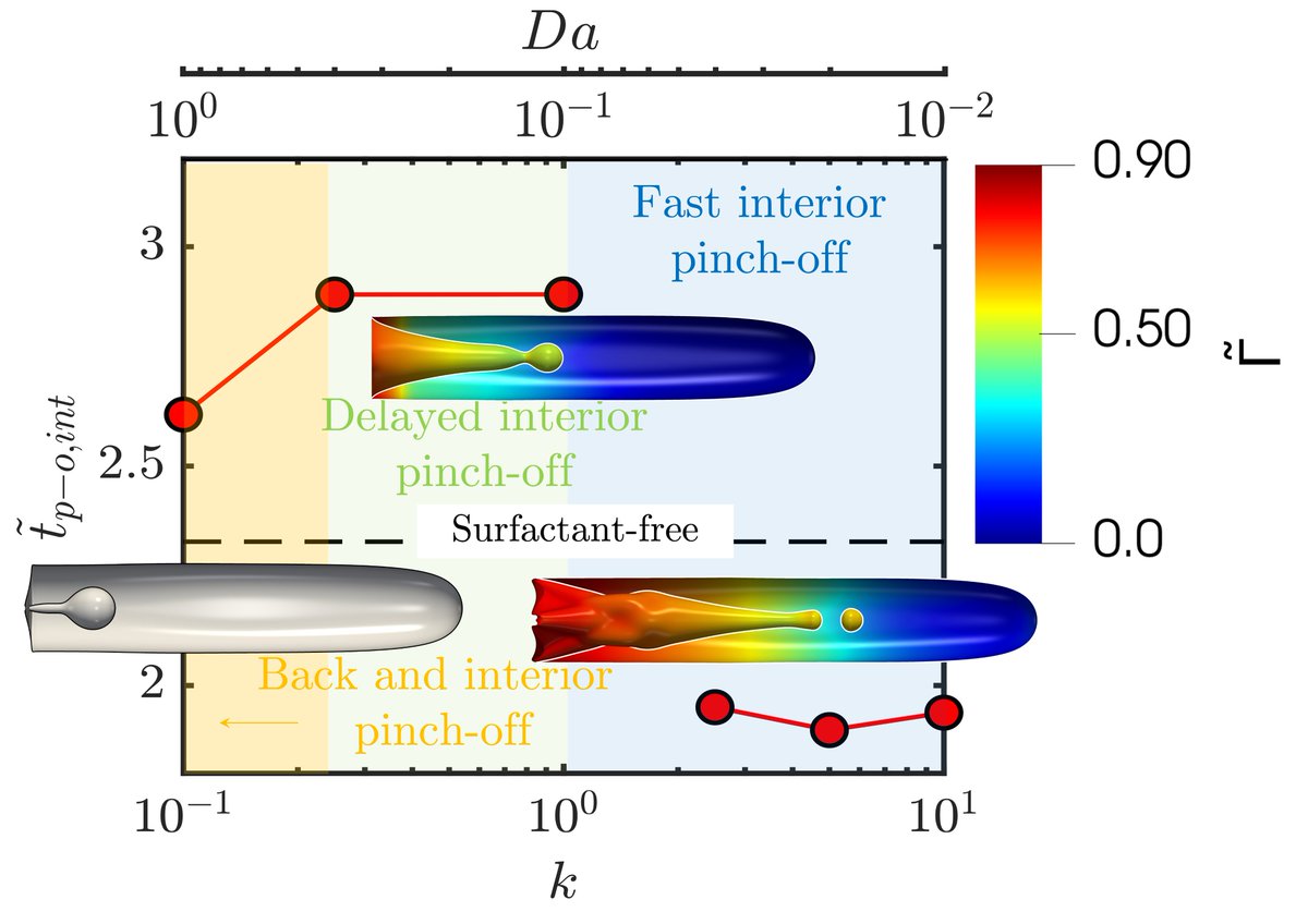 Check out @PaulaPico17's paper 👇in @PhysRevFluids 🙌👏 Drop encapsulation & #bubble bursting in #surfactant-laden #flows in capillary channels 🔗 link.aps.org/doi/10.1103/Ph… #Collaboration: @LisnLab @LKahouadji Hongik Uni #Multiphase #FluidDynamics #CFD #Simulation