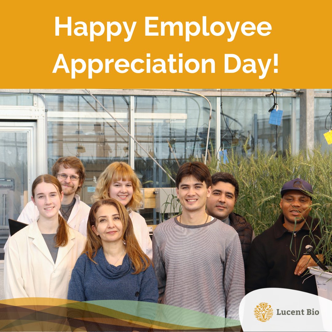 LucentBio's tweet photo. 🎉On Employee Appreciation Day, we extend our heartfelt thanks to the incredible individuals who make Lucent Bio a fantastic place to work. Your commitment and passion fuel our success. Here's to you, our amazing team! 🙌❤️ #ThankYouTeam #EmployeeAppreciationDay #LucentBio https://t.co/Cr6MBV45kA