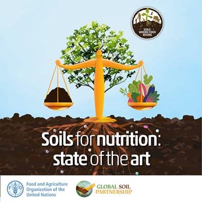 Curious to understand the role of soil fertility in food security?  🌽⚖️

#GlobalSoilPartnership #SoilHealth #SoilAction