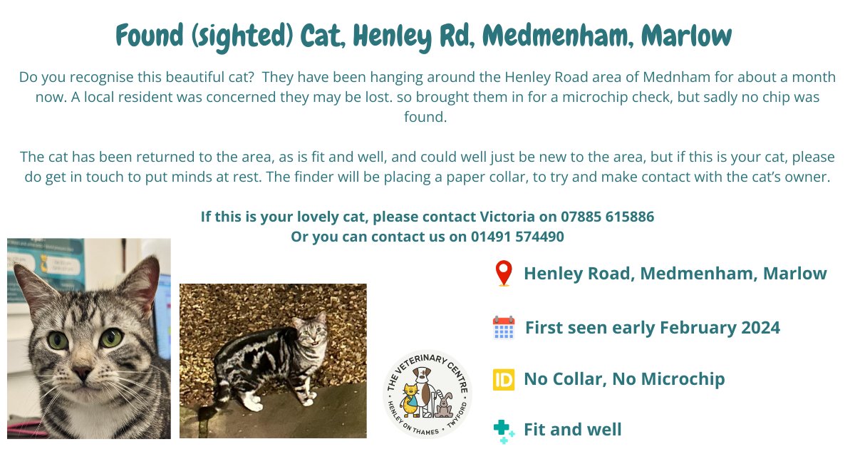 📢 FOUND (sighted) CAT
📍 Henley Road, Medmenham
💚 PLEASE SHARE

#foundcat #lostcat #medmenham #marlow #lostandfoundcats #lostandfoundpets