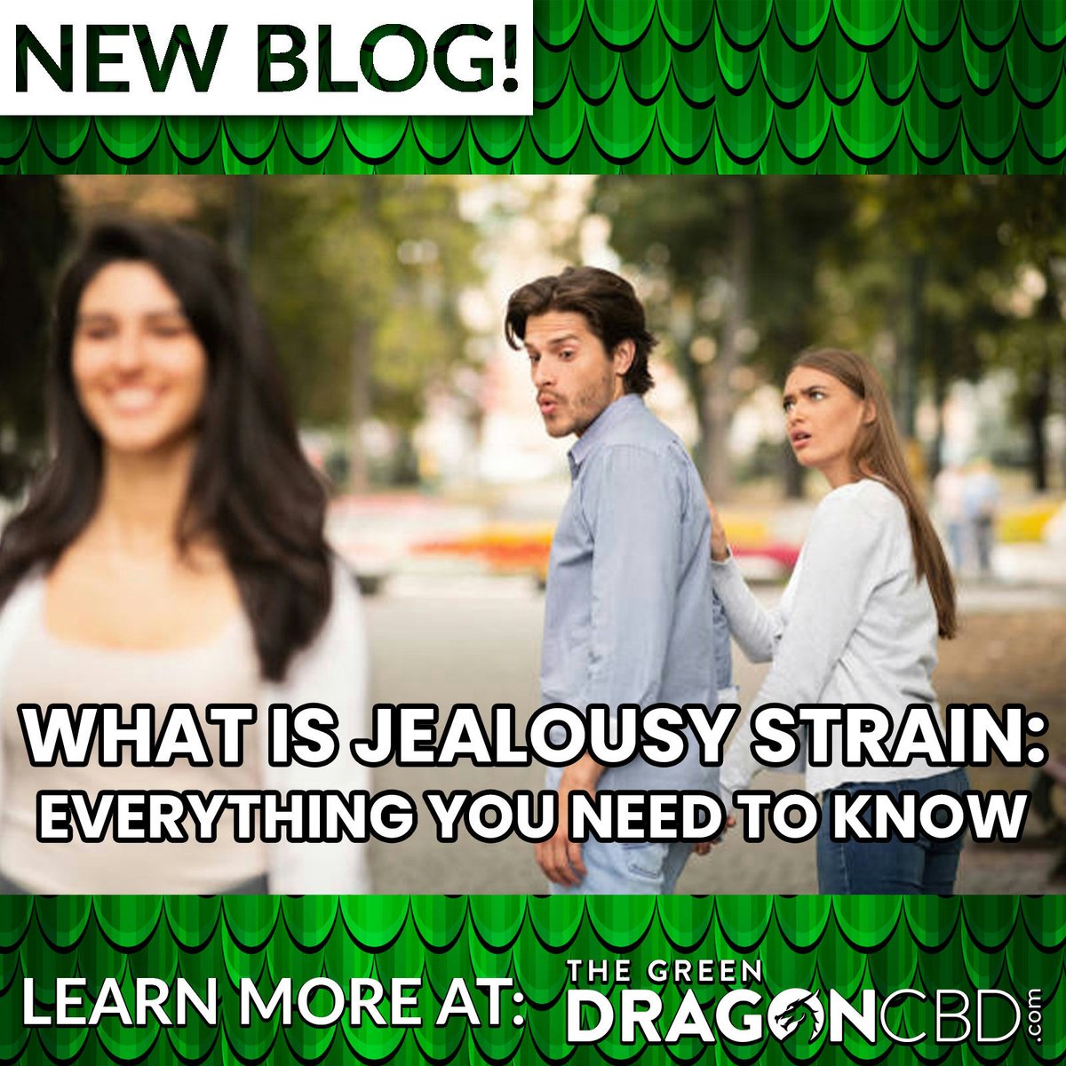 🚨🐉It's that time again! Have you ever wondered what makes the Jealousy strain so delicious? We have all the answers for you in our latest blog! Find out what makes all the other strains 'jealous' of this staple strain! shorturl.at/HT789 #indicavssativa #legalweed #weed…