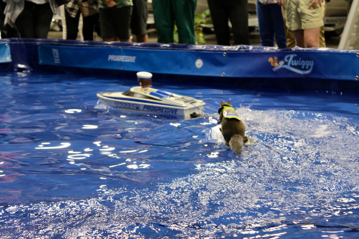 MobileConvCtr's tweet photo. We had a blast at the 72nd Annual Mobile Boat show with hundreds of boats, great music, sea animals....and even a water-skiing squirrel. Let the countdown for next year begin! 🚤 🎿 🐿️ 

#MobileConventionCenter #ASMGlobal #GulfCoast #MobileAL #MobileBoatShow24 #BoatShow https://t.co/4WEzFhTAyI