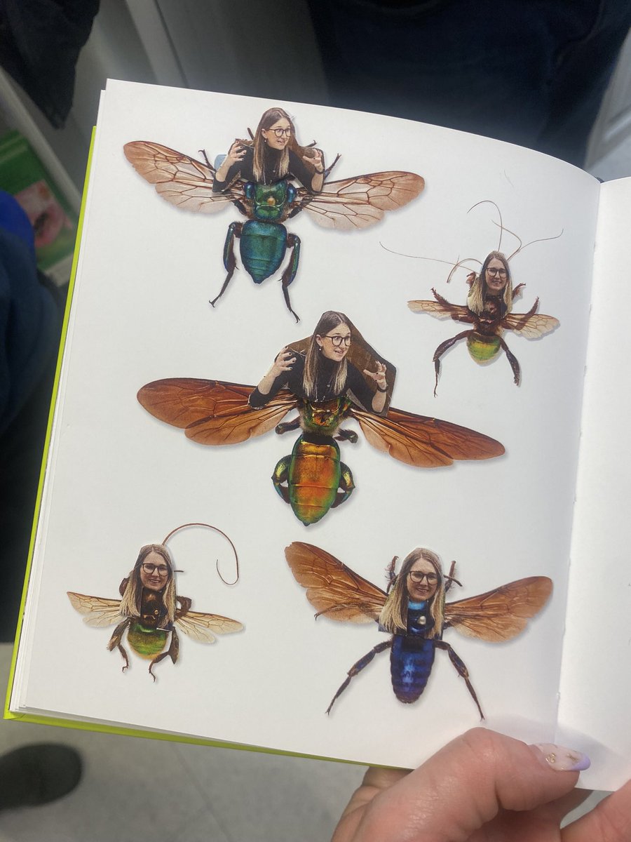 Dr Abigail Lowe 🐝🌸🧬 tweet media