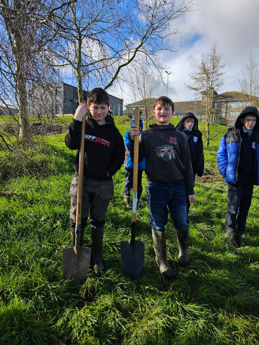 What a treeishweek! Planted 200 saplings yesterday @StKillians NS from nursery at Pairc Eoin 👏and Trees Please. Big thanks to @GardenTogher , Army Vets Support, children, Mary O'Connor & Matt Sroka sroka@revolution. @CorkHealthyCity @tomartyc @SHEP_Ireland @haz