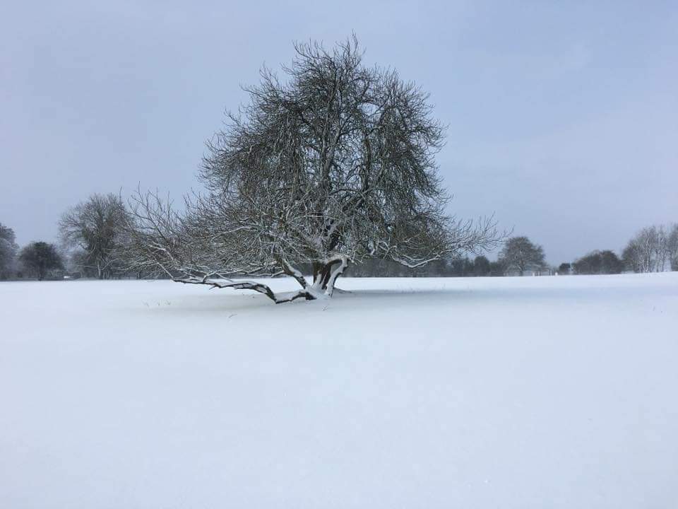 This morning @Mt_Briscoe #weatherpic #VisitOffaly #Snow