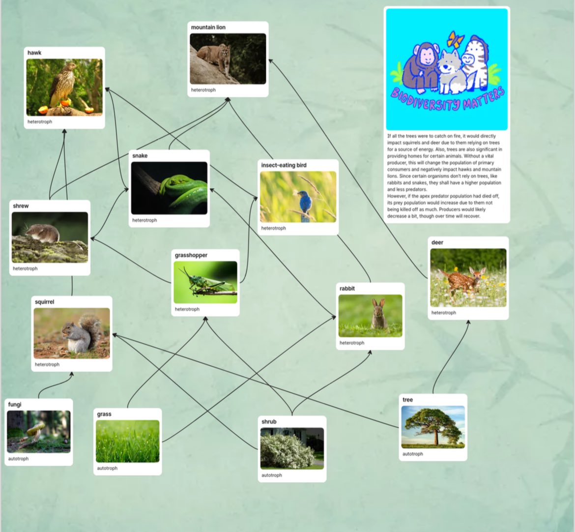 Students used the canvas ⁦<a href="/padlet/">Padlet</a>⁩ boards to create food webs and analyze the implications of species removal from an ecosystem. Discovering #biodiversity matters!        #studentcreated #learninganddevelopment #instructionaldesign #elearning