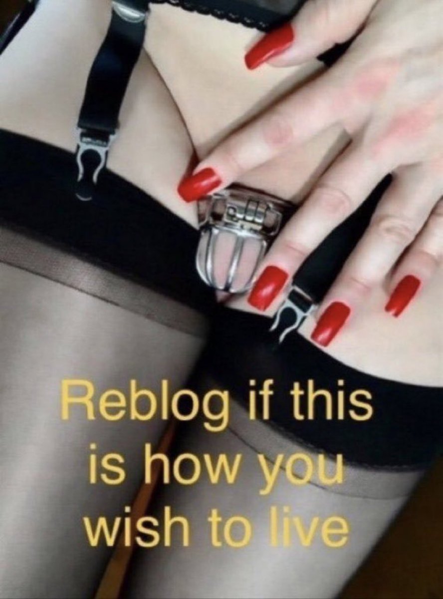 perfectsissys's tweet photo. Retweet sissy ♻️ 💕 🍆 🍑 👙 👗 
#sissy #sissychastity #sissybbc #sissygirls #sissygurls #sissyslave #sissy4cage #sissybeta #sissyblacked #SissyBoys #sissycuckold #sissydominated #SissyFeminization #SissyFeminization #sissygirlfriend #sissyhumilation #sissytraining  #femboy https://t.co/yXOx4Wf6m8