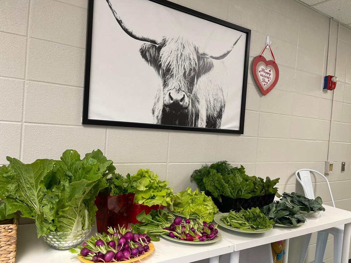 👀 at this amazing harvest from @MemorialElm’s school garden 😍 Love being able to treat our staff to fresh, healthy, and tasty options right from the school’s grounds. Our deepest appreciation to parent volunteers who make our garden program possible ❤️ #FriYay #HISDMemorialPTO