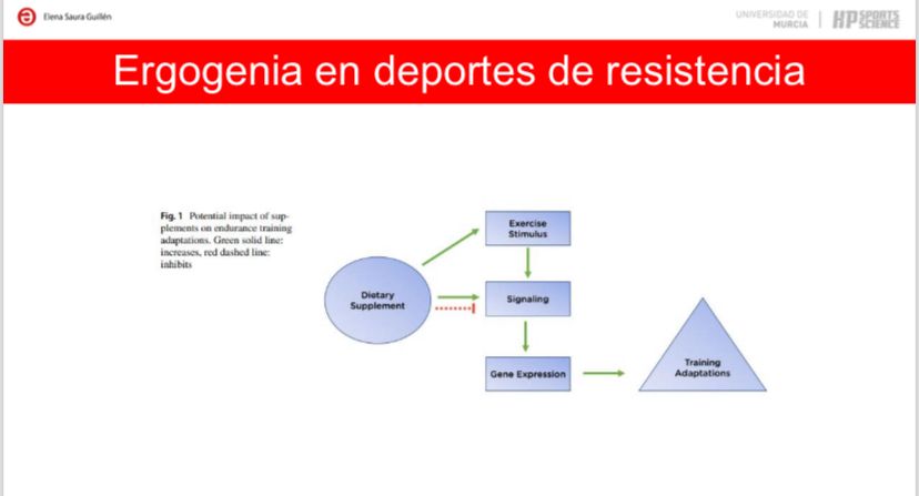 Máster Alto Rendimiento Deportes Cíclicos (@umu) tweet media
