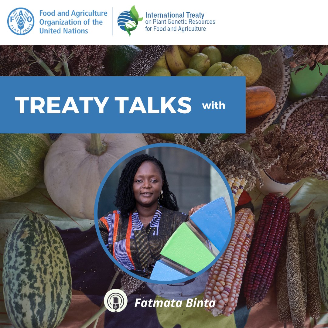 Small ancient grains can help feed the world🌎

Listen to Chef Binta <a href="/Fulanichef/">Chef Binta</a> talk about underutilized crops, including one she considers the "iconic grain"👉🏾bit.ly/3SR9m1y

#ItAllStartsWithTheSeed🌱
#seeds #CropDiversity #food #gastronomy #FoodSecurity #biodiversity