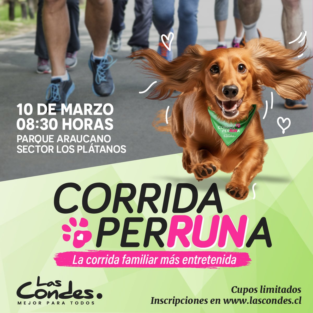 ¡Imperdible panorama familiar 🐶!

Participa junto a tu mascota en la Corrida Perruna 🐕‍🦺🏃el próximo domingo 10 de marzo en el Parque Araucano, sector Los Plátanos 🐾 ¡Te esperamos! 
Más información e inscripciones en lascondes.cl