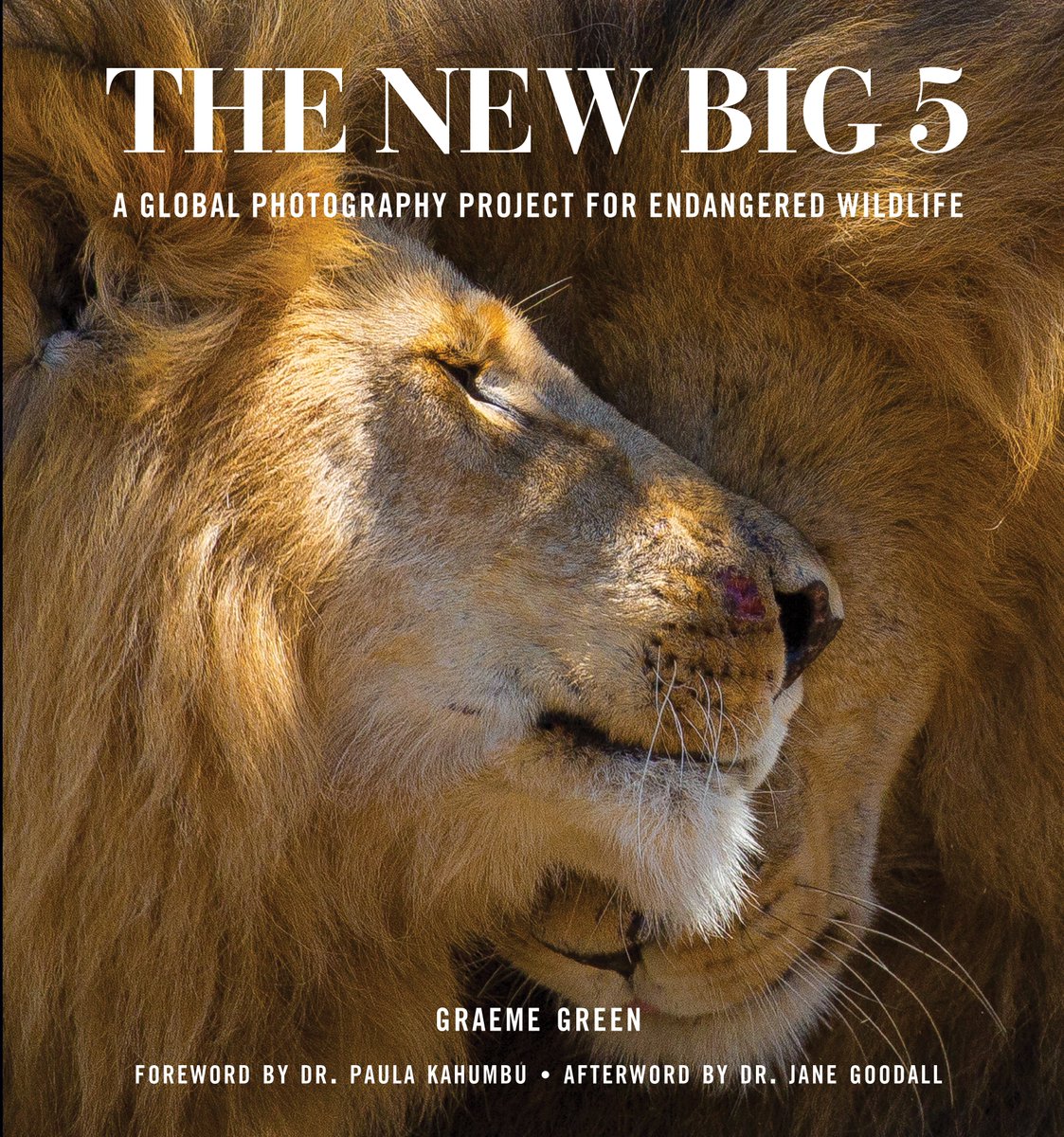 Graeme Green (@greengraeme) on Twitter photo Happy to share the news that the New Big 5 book was named BOOK OF THE YEAR last night at the <a href="/AP_Magazine/">Amateur Photographer</a> Awards in London
#wildlifephotography #conservation #APAwards2024 Happy to share the news that the New Big 5 book was named BOOK OF THE YEAR last night at the <a href="/AP_Magazine/">Amateur Photographer</a> Awards in London
#wildlifephotography #conservation #APAwards2024