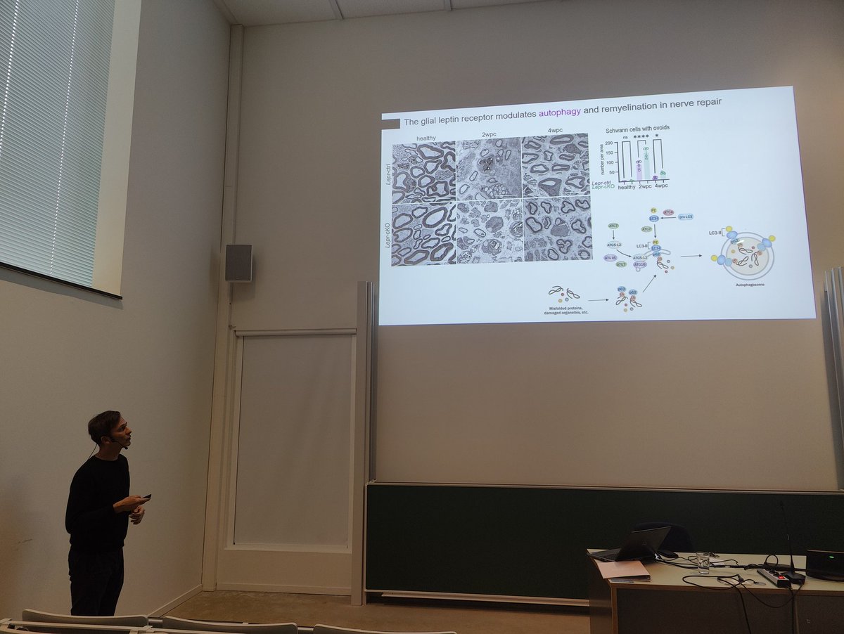 Robert Prior tweet media