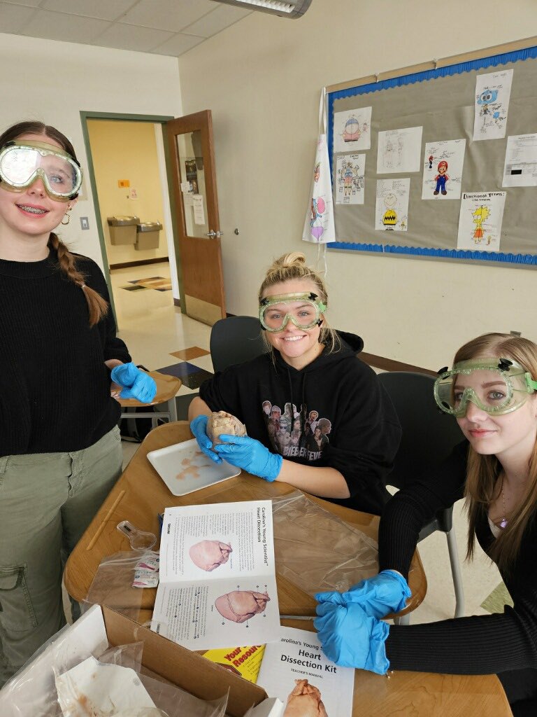 Our Medical Terminology class did Pig Heart Dissections! They located atria, ventricles, and the tricuspid valve!