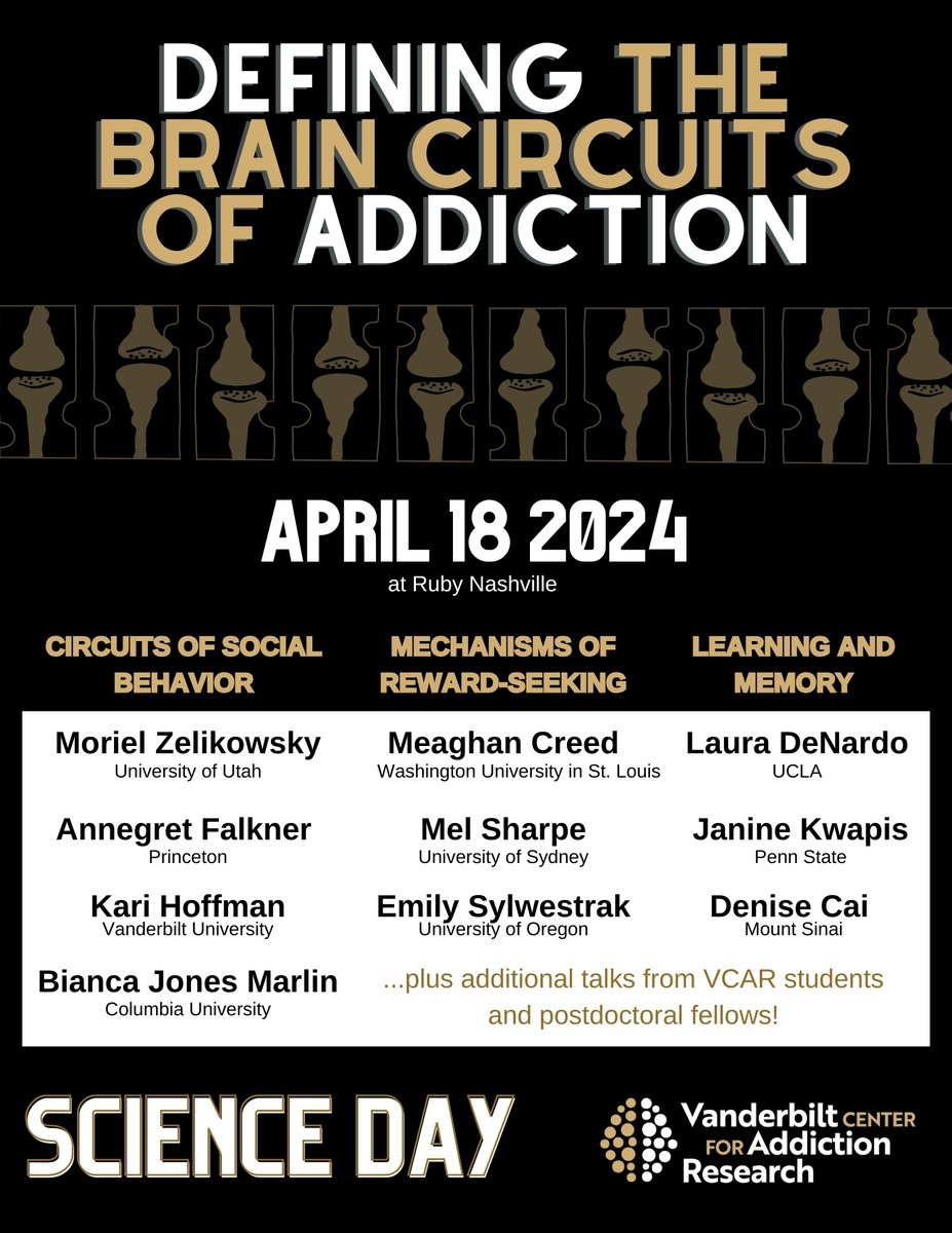 Dr.ErinCalipari tweet media