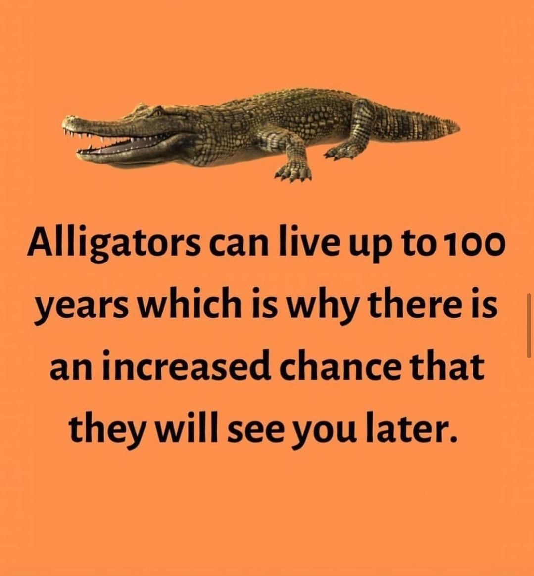 GHmH02tWMAAq9rR?format=jpg&name=medium