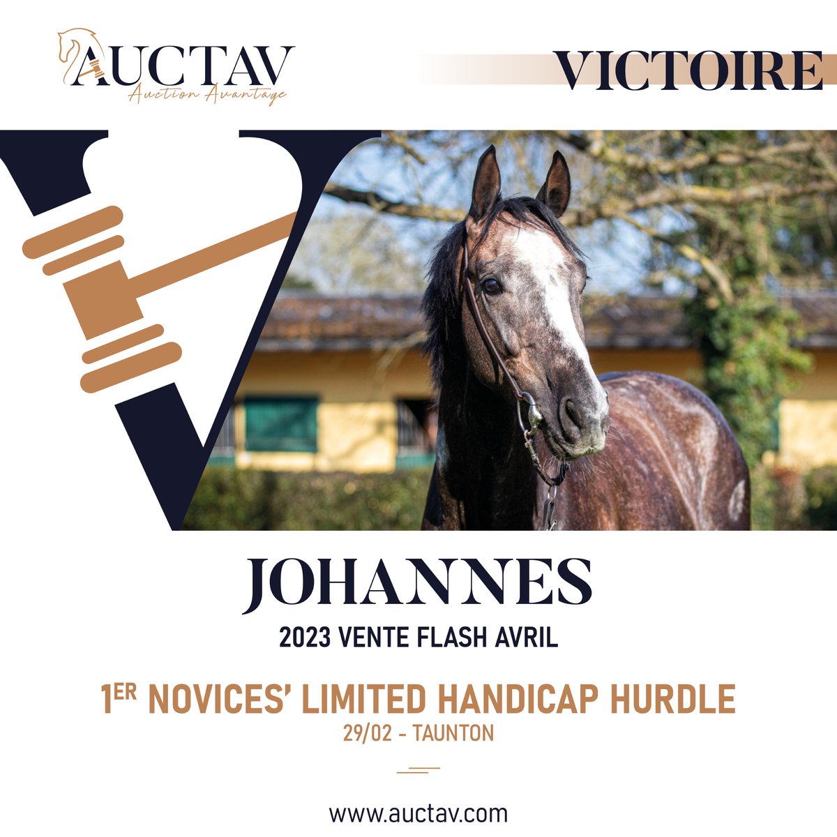 🥇 JOHANNES made it all to win yesterday at @TauntonRacing, his 2nd career-win and first since purchased by @JonesToby86 at the 2023 April Flash Sale. Entrusted to @DavidPipeRacing & @jacktudor9, he sports the colors of Livin' The Dream. 
Congrats to all!