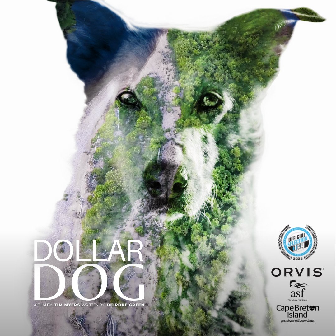 After more than 175 showings around the world as part of the 2023 International Fly Fishing Film Festival, Dollar Dog is available for viewing on ASF's YT channel. Watch it, like it, and subscribe today. youtu.be/mnpPhPLKNiY?si… @TheOrvisCompany @TourismCB @Deirdre__Green