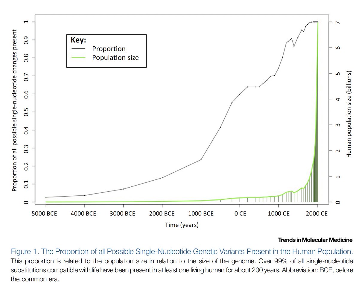 Richard Fuisz (@richardfuisz) on Twitter photo Every mutation that could exist, does exist. That has only been true for ~200 years. Most beneficial variants just haven't had the time to become ubiquitous. But now, at least 50 people in the world have every possible mutation in the human genome. Every mutation that could exist, does exist. That has only been true for ~200 years. Most beneficial variants just haven't had the time to become ubiquitous. But now, at least 50 people in the world have every possible mutation in the human genome.