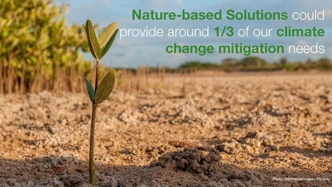 Nature-based Solutions are a powerful way to tackle global challenges like #climate change and biodiversity loss.
Improve the effectiveness, sustainability and adaptability of projects with the IUCN Global Standard for #NaturebasedSolutions.
👉shorturl.at/cmUW0
Via <a href="/IUCN/">IUCN</a>