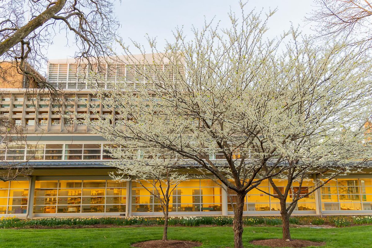 WashU's tweet image. 🌸 Marching into a new month with a spring in our step. 🌼