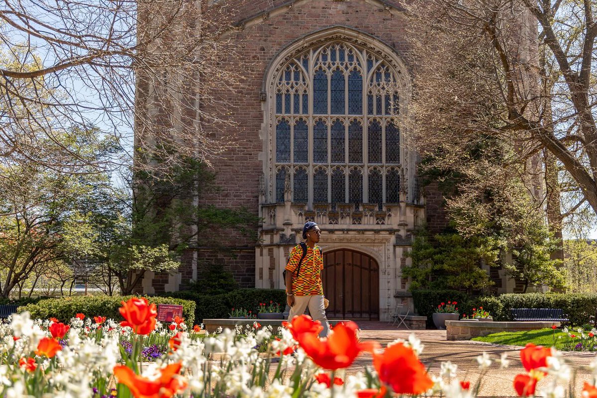 WashU's tweet image. 🌸 Marching into a new month with a spring in our step. 🌼