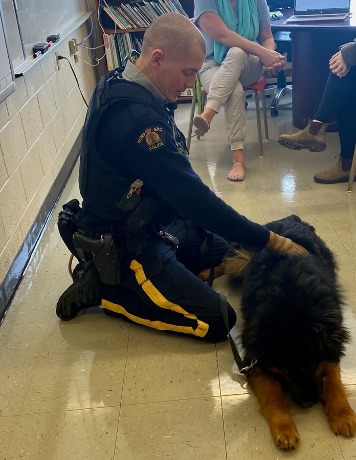 Recently, Police Potential Service Dog Stewie and Cst. Mitchel Tulk took a field trip to St. Augustine’s Elementary on Bell Island.  This playful pup enjoyed his social interactions with the students and Cst. Tulk enjoyed answering questions about Stewie’s training. #RCMPNL