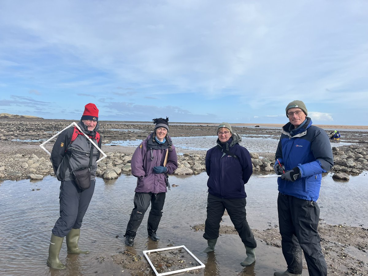 Thank you to all the amazing volunteers who helped us celebrate #WorldSeagrassDay with a seagrass survey at Tyninghame 🌱

It was the perfect sunny morning and we were delighted to see both species of seagrass found in the UK

#RestorationForth

📷©️Eleri Williams