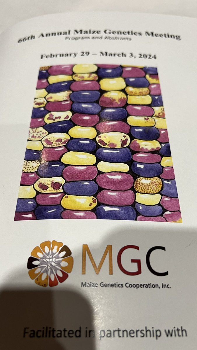 Mateus Mondin (@mateus_mondin) on Twitter photo A masterpiece of <a href="/freeaSarahgene/">Sarah Fitzsimmons (Oliver)</a> illustrating the cover of Program and Abstract book of Maize Genetics Meeting 2024 #MGM2024 <a href="/CoopMaize/">MaizeGeneticsCoop</a> <a href="/MaizeGDB/">MaizeGDB</a> A masterpiece of <a href="/freeaSarahgene/">Sarah Fitzsimmons (Oliver)</a> illustrating the cover of Program and Abstract book of Maize Genetics Meeting 2024 #MGM2024 <a href="/CoopMaize/">MaizeGeneticsCoop</a> <a href="/MaizeGDB/">MaizeGDB</a>