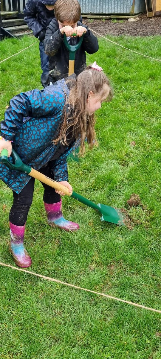 RandlayPrimary tweet media