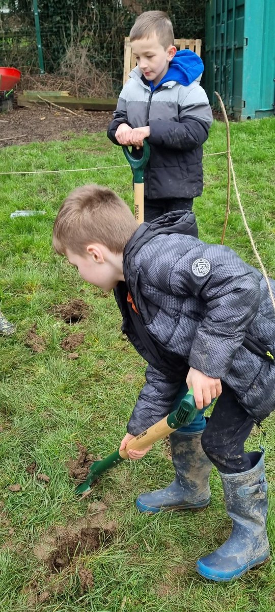 RandlayPrimary tweet media