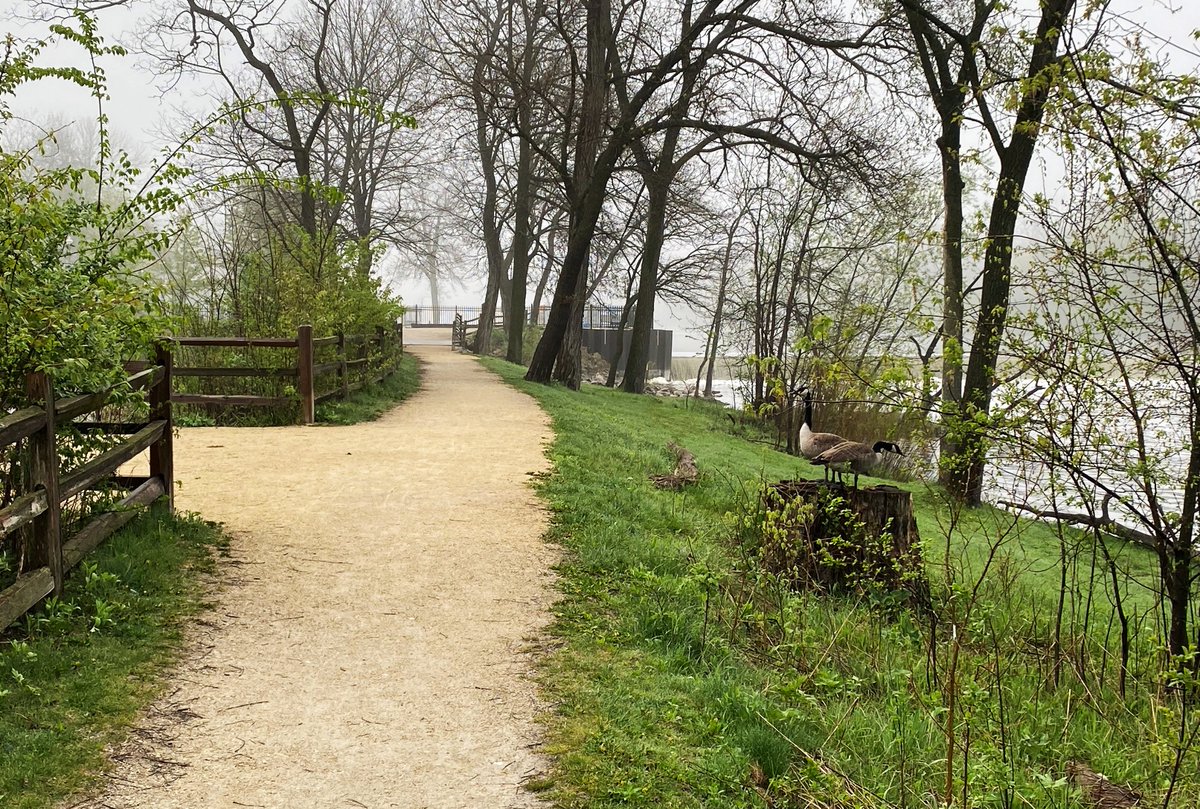 March is here! This month’s calendar photo was taken by Becki Schimpf titled “River Stroll.” She took this photo while on a walk at Thiensville Village Park in Thiensville. Thanks for sharing this beautiful photo with us, Becki! #photography #communitybanking #thenaturalchoice