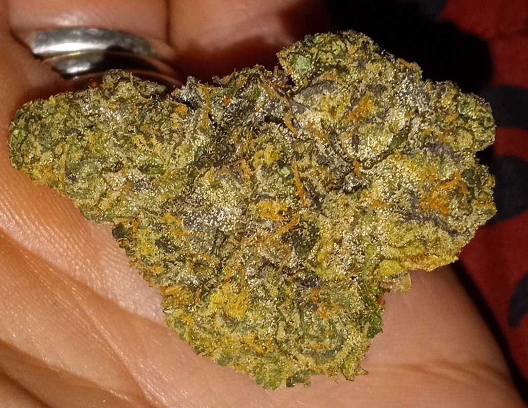 Gorgeous Pacman Bud ❤️ what's your favorite #wakenbake ?? #cannabisindustry #CannabisCommunity #Weedmob #WeedLovers #stoners #StonerFam #420community #420Life #420friendly #growyourown #Blast #marijuana