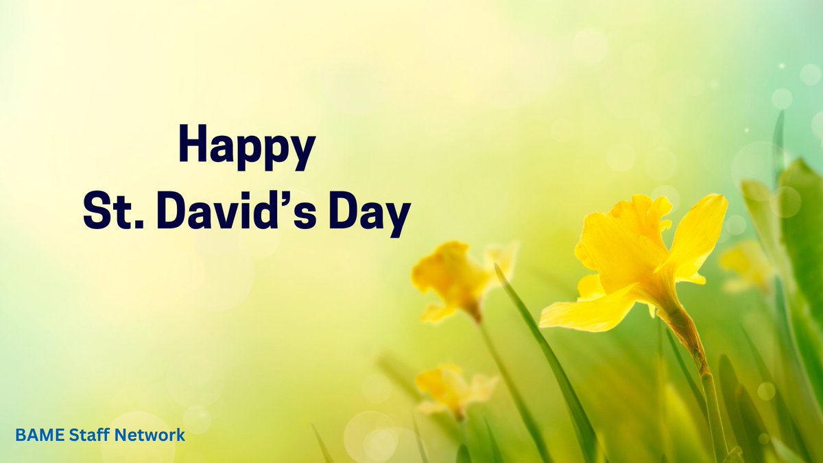 Happy St. David's Day 🌼