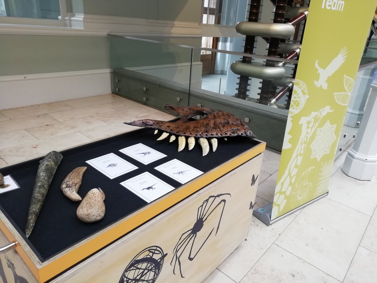 We've had a lovely afternoon with our dinosaur objects #FindOutFriday. Come and visit us next week to see what we will be exploring then. #FamilyFriendlyMuseum