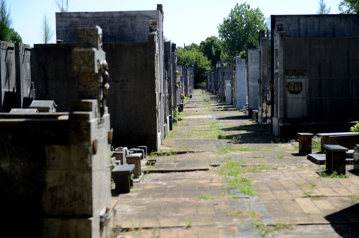 La Plata : son 2.000 las bolsas mortuorias con restos óseos encontrados en los depósitos, sin identificación, 1.700 cadáveres (judicializados) hasta ahora, los primeros estudios indican que la data muerte sería de 2014 .
El silencio de los medios demuestra que la provincia está