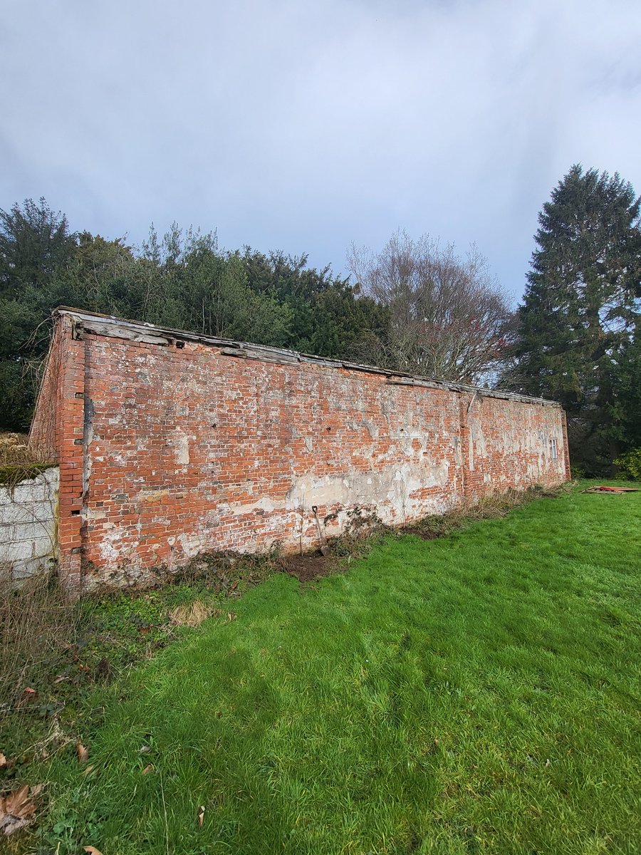 We're pretty convinced this was where the nectarine house was at #PitchfordHall No funds for a new glasshouse but we have started planting nectarines against the South facing wall #fruittrees #Victorianglasshouses #historicgarden