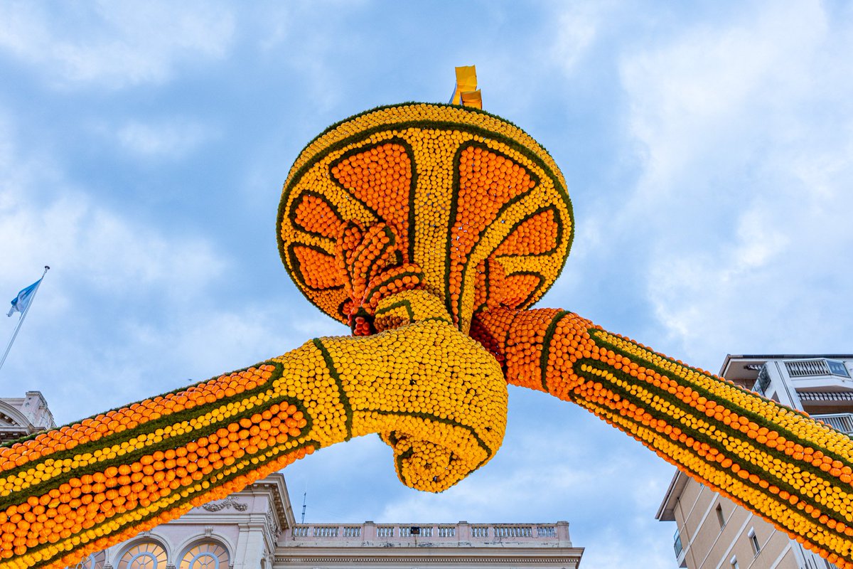 MelleBonPlan's tweet image. Séjour à #Menton pour découvrir la fameuse #feteducitron 🍋 @fete_du_citron qui se tient dans la ville jusqu&apos;au 3 mars !
#cotedazur #paca #cotedazurfrance
📷 @NicolasDiolez