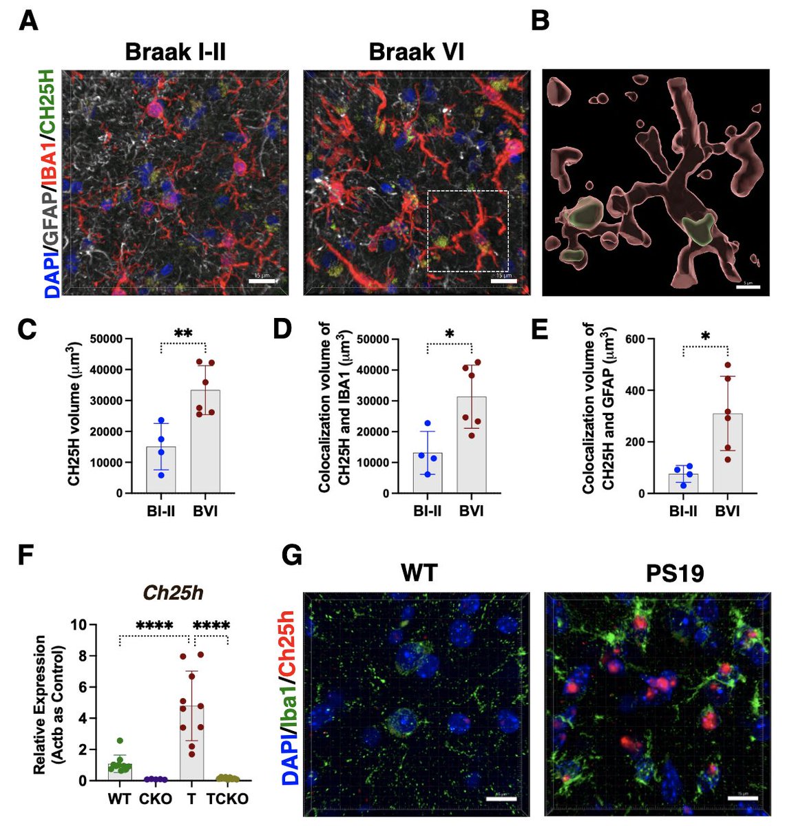 John Lukens (@lukensjohnr) on Twitter photo Cholesterol 25-hydroxylase mediates neuroinflammation and neurodegeneration in a mouse model of tauopathy <a href="/JExpMed/">Journal of Experimental Medicine</a> rupress.org/jem/article-ab… Cholesterol 25-hydroxylase mediates neuroinflammation and neurodegeneration in a mouse model of tauopathy <a href="/JExpMed/">Journal of Experimental Medicine</a> rupress.org/jem/article-ab…