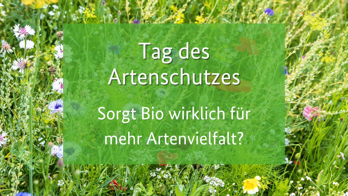 Biohoefe's tweet photo. Heute ist tag des Artenschutzes! Studien belegen, dass sich der ökologische Landbau besonders positiv auf die Artenvielfalt auswirkt. Z. B. finden sich auf #Bio-Äckern  bis zu 23% mehr blütenbesuchende Insekten als auf konventionellen. 🦋🐝🐞 https://t.co/yP61YhFbfn
#BioNaLogo https://t.co/vZJehLFuXl
